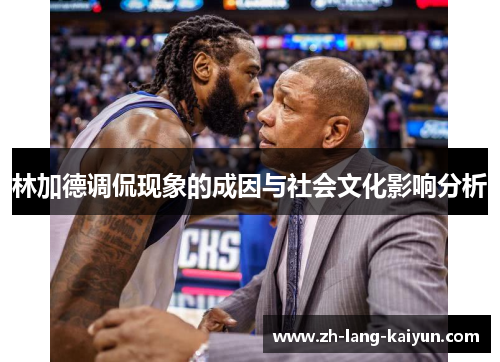 林加德调侃现象的成因与社会文化影响分析 林加德调侃现象的成因与社会文化影响分析