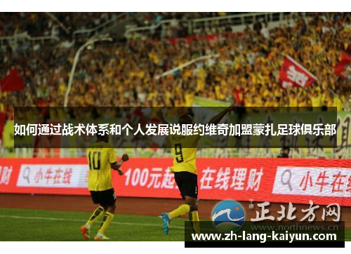 如何通过战术体系和个人发展说服约维奇加盟蒙扎足球俱乐部